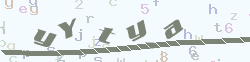 verify_code